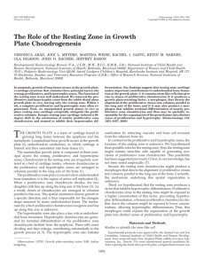 The Role of the Resting Zone in Growth Plate Chondrogenesis