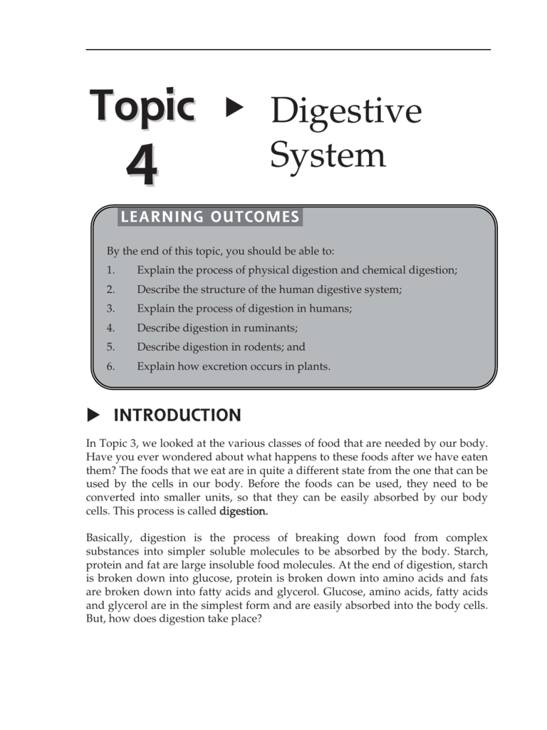 Featured image of post Enchantedlearning com Digestive System Find out how digestion happens and what nutrients saliva and enzymes do for you