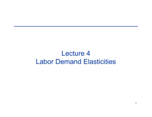 Lecture 4 Labor Demand Elasticities