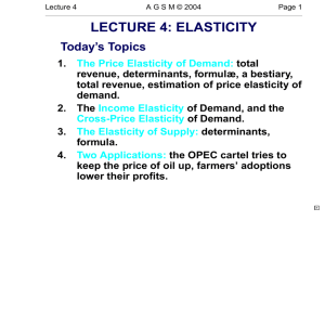 lecture 4: elasticity