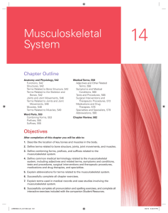 Chapter 14 Musculoskeletal System