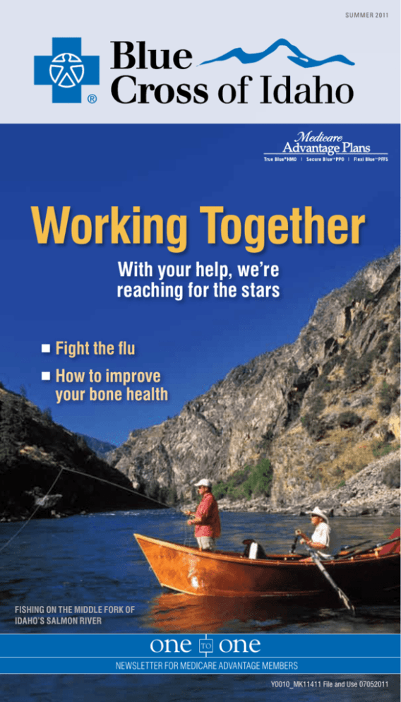 Working Together Blue Cross of Idaho
