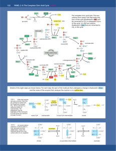 122 PANEL 2–9: The Complete Citric Acid Cycle