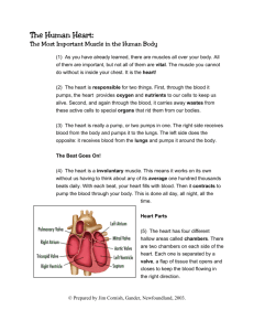 The Human Heart: