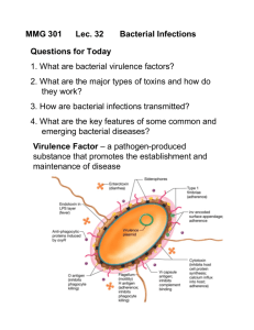 Bacterial Virulence Factors and Human