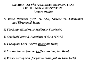 (Oct 8th): ANATOMY and FUNCTION OF THE NERVOUS SYSTEM