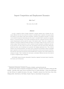 Import Competition and Employment Dynamics