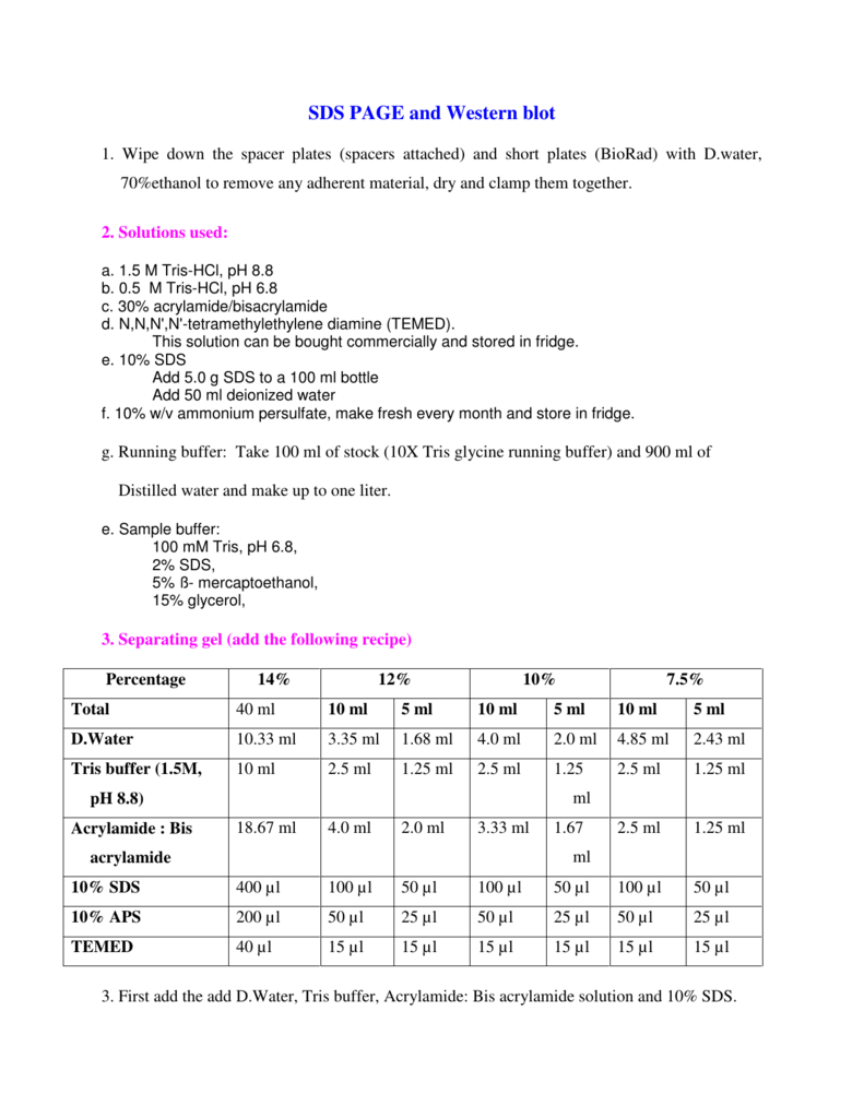 Sds Page And Western Blot