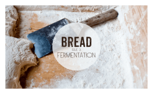 Fermentation - Bread Magazine