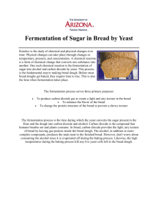 Fermentation of Sugar in Bread by Yeast