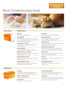 Bread Troubleshooting Guide