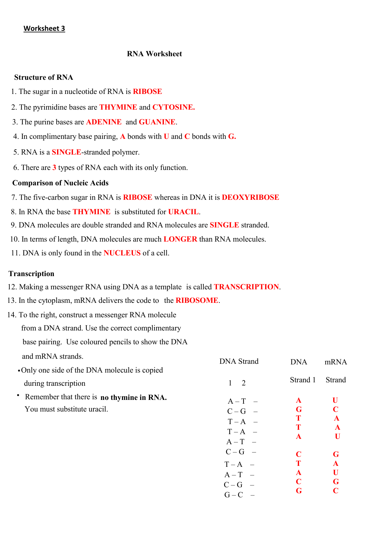 Worksheet 5 - The NSA at Work Intended For Nucleic Acid  Worksheet Answers