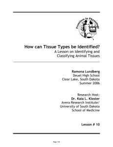 How can Tissue Types be Identified?