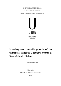 2. Breeding and juvenile growth of the ribbontail stingray Taeniura