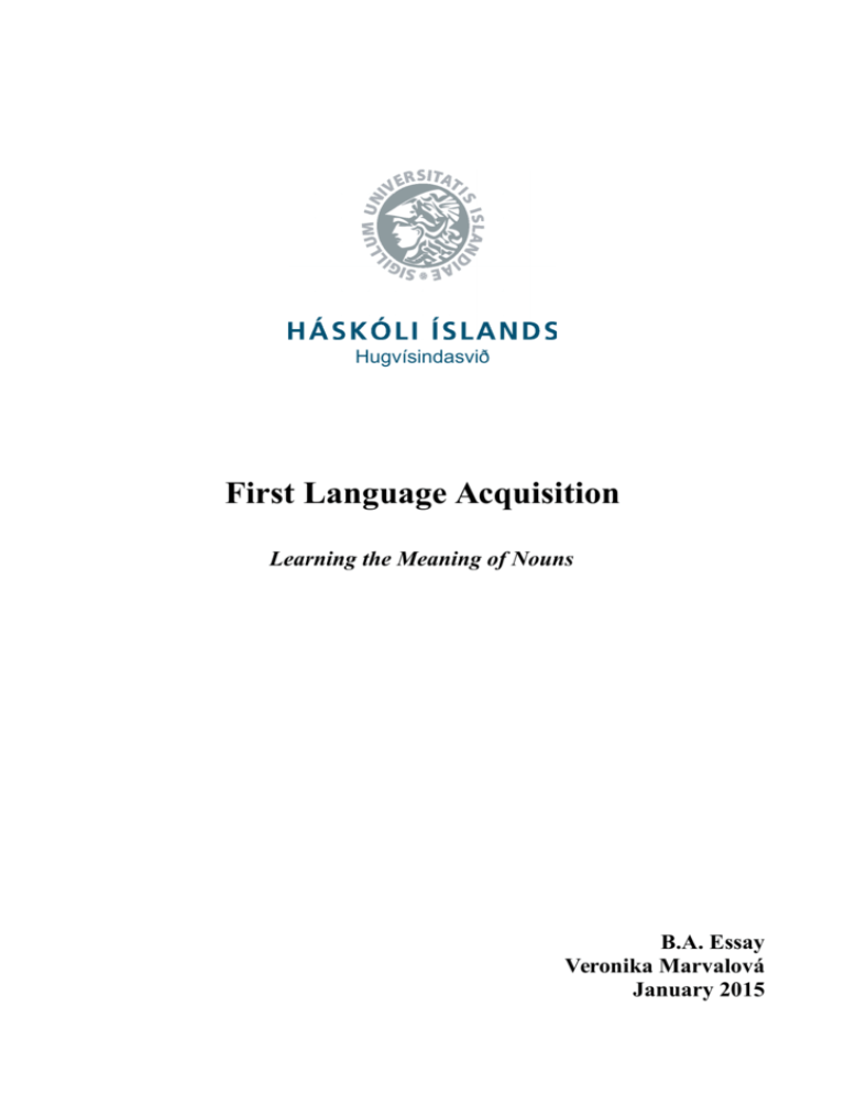 first-language-acquisition