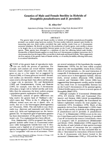 Genetics of Male and Female Sterility in Hybrids of Drosophila