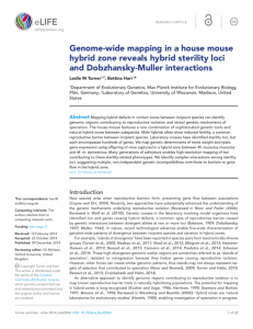 Genome-wide mapping in a house mouse hybrid zone reveals