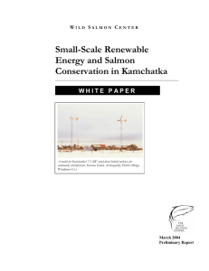 Small-Scale Renewable Energy and Salmon Conservation in