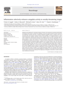 Inflammation selectively enhances amygdala activity to socially