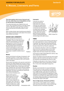9. Mosses, Liverworts and Ferns