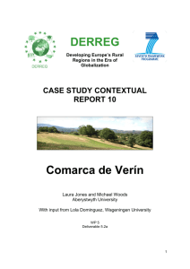 Verin contextual report final