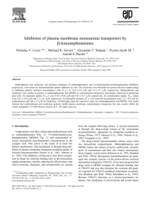 Inhibition of plasma membrane monoamine transporters by b