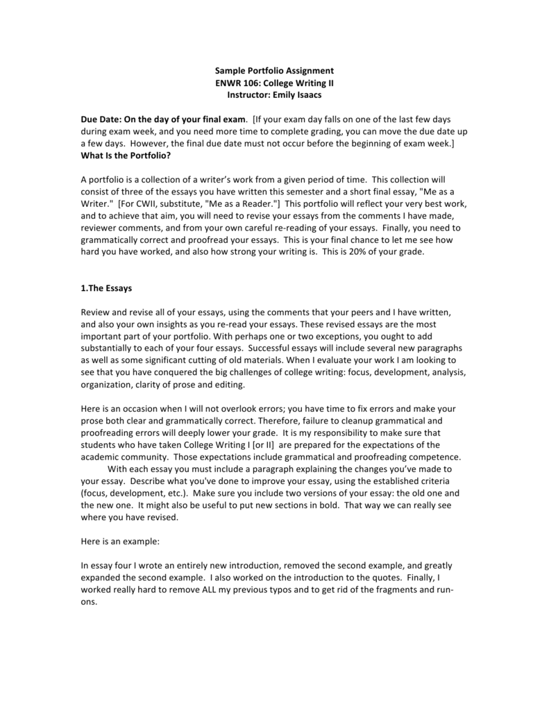  Student Portfolio Essay Examples Sitedoct