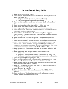 Lecture Exam 4 Study Guide