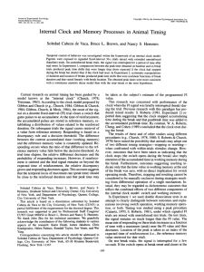 Internal Clock and Memory Processes in Animal Timing