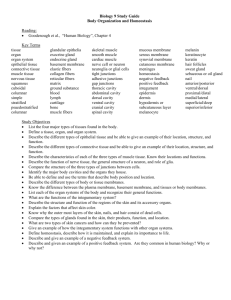 Biology 9 Study Guide Body Organization and Homeostasis