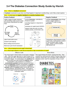 3.4 Diabetes Study Guide - Wilmot Union High School