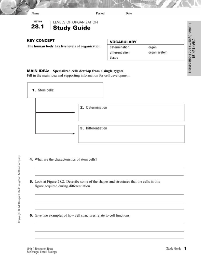 281 Levels Of Organization Study Guide Answer Key Study Poster