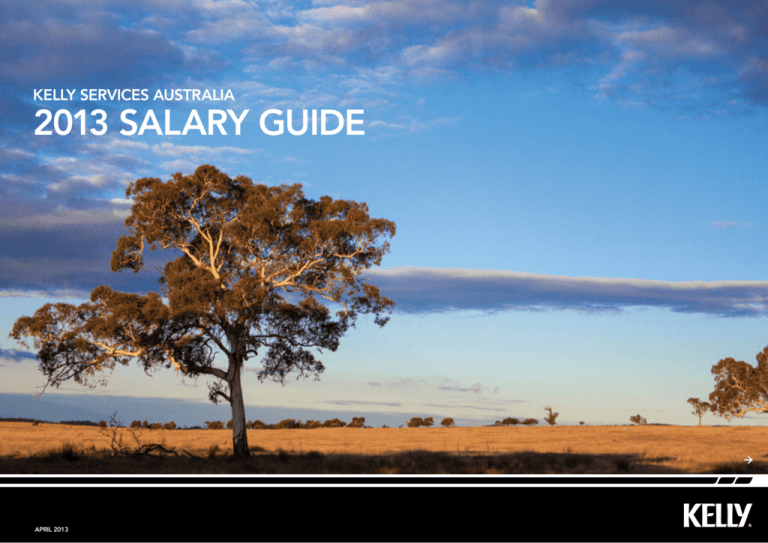 2013 salary guide