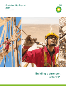 BP Sustainability Report 2014 (pdf 3.6 MB)