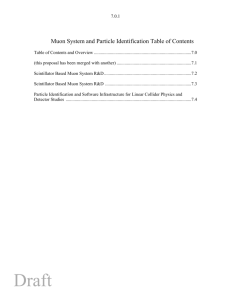 Muon System and Particle Identification Table of Contents
