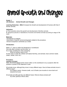 Animal Growth and Change