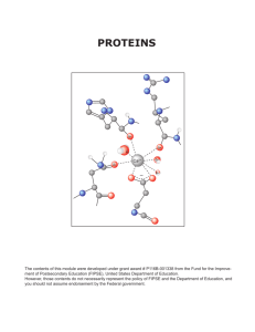 proteins - Small-Scale Chemistry