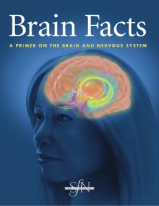 Brain Facts, A Primer on the Brain and Nervous System