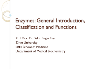 Enzymes: General Introduction, Classification and Functions