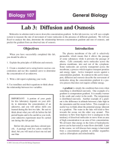 Biology 107 General Biology Lab 3: Diffusion and Osmosis