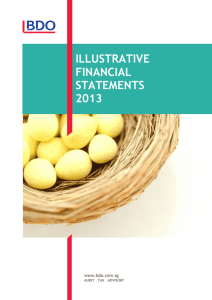 illustrative financial statements 2013