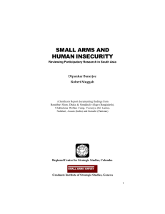 small arms and human insecurity