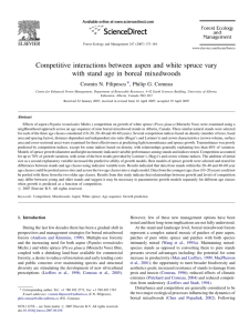 Competitive interactions between aspen and white spruce vary with
