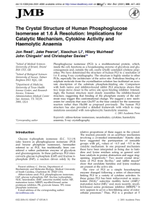 The Crystal Structure of Human Phosphoglucose Isomerase at 1.6