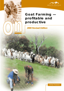 Goat Farming — profitable and productive