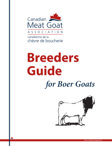CMGA Breeders Guide for BOER GOATS