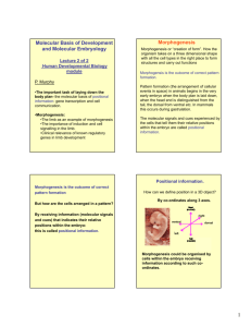 Molecular Basis of Development and Molecular Embryology