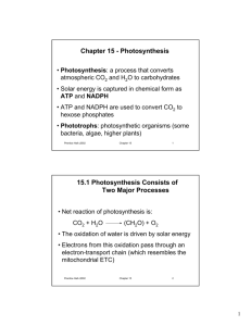 Chapter 15 - Photosynthesis 15.1 Photosynthesis Consists of Two