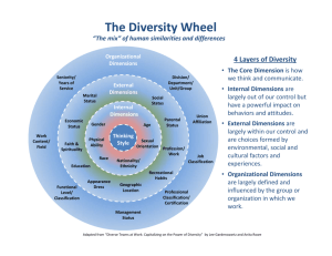 The Diversity Wheel