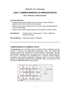 lab 6: common minerals in igneous rocks